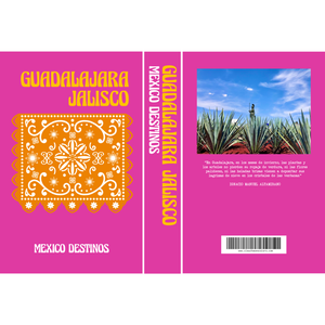 decorative book mexico destinos guadalajara