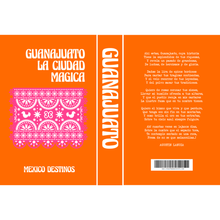 Load image into Gallery viewer, decorative book mexico destinos guanajuato